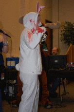 ValleyCon 37 - 2011